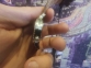  Женские кварцевые часы Royal LONDON 21157-05 0