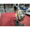 Женские часы ROMANSON RL8216QLG(BK) 0